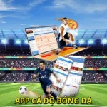 App Cá Độ Bóng Đá